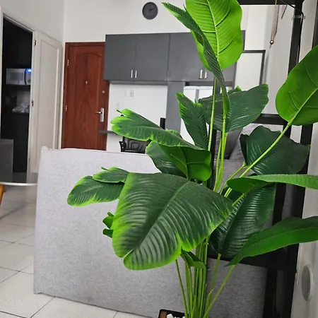 RIO BEM-ESTAR CONFORTO e LOCALIZAÇÃO-2